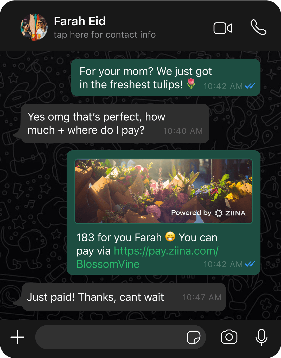 Whatsapp Chat